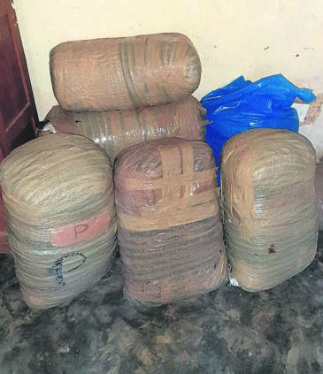Police confiscated 14 bags of dagga weighing 211,2kg, with an estimated street value of more than R800 000 during the gogo’s arrest.