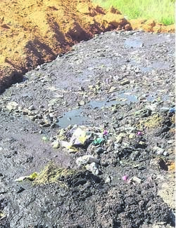 The area where the Sekhukhune municipal contractor is illegally dumping human waste.
