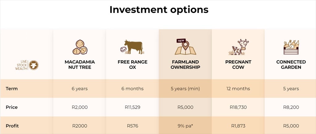 DSG Ventures: Fund Profile, Investments & Returns