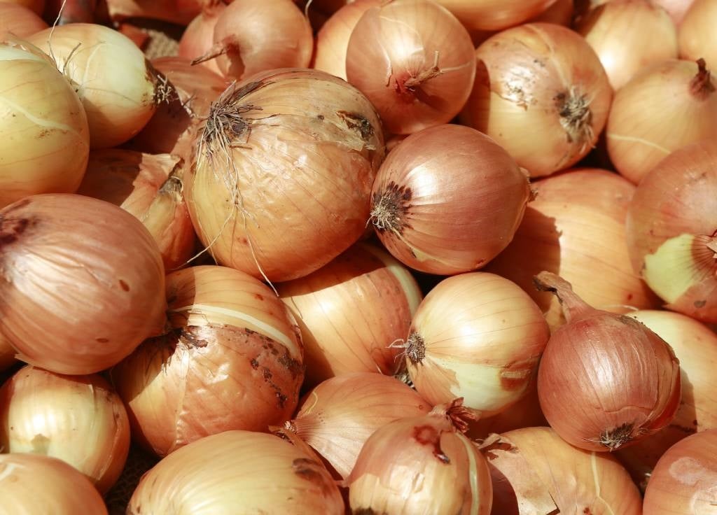 News24.com | Onions are now a luxury in the Philippines - at an eye-watering R260 per kilo