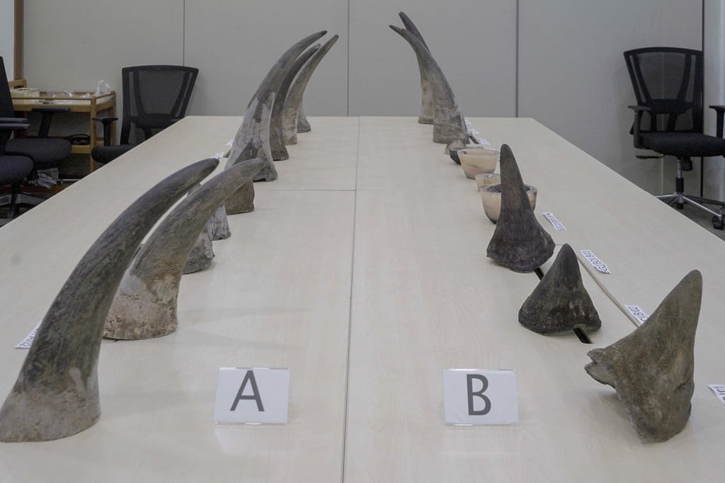 A Singapore court sentenced a South African man to two years in jail on 26 January 2024 for smuggling rhino horns, the heaviest sentence ever handed down in the city-state for smuggling wildlife parts. 