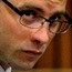 Oscar Pistorius trial, day 30 - as it happened
