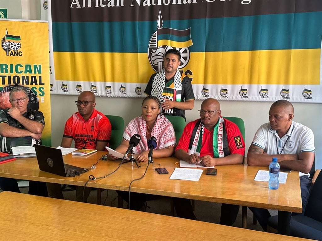 ANC allies have rallied against the DA's Provincial Powers Bill.