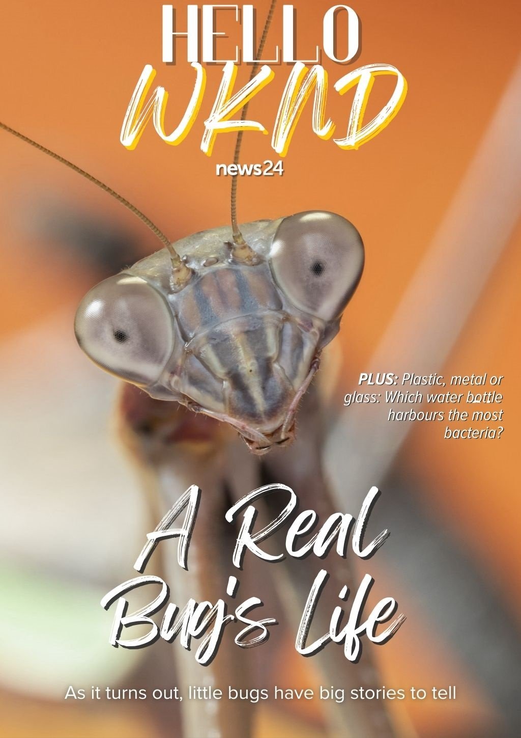 HELLO WEEKEND | Enter the miniature scale world of bugs and learn all about their adventures in A Real Bug’s Life | Life