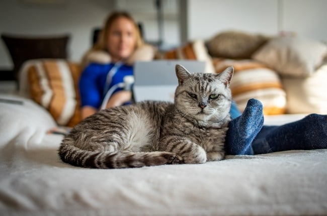 Cat and it's owner. (Photo: Getty Images) 