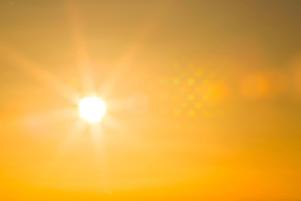 Heatwaves and hot weather are expected in the Eastern Cape and Western Cape.