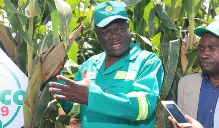 Zimbabwe's agriculture minister Perrance Shiri has died.