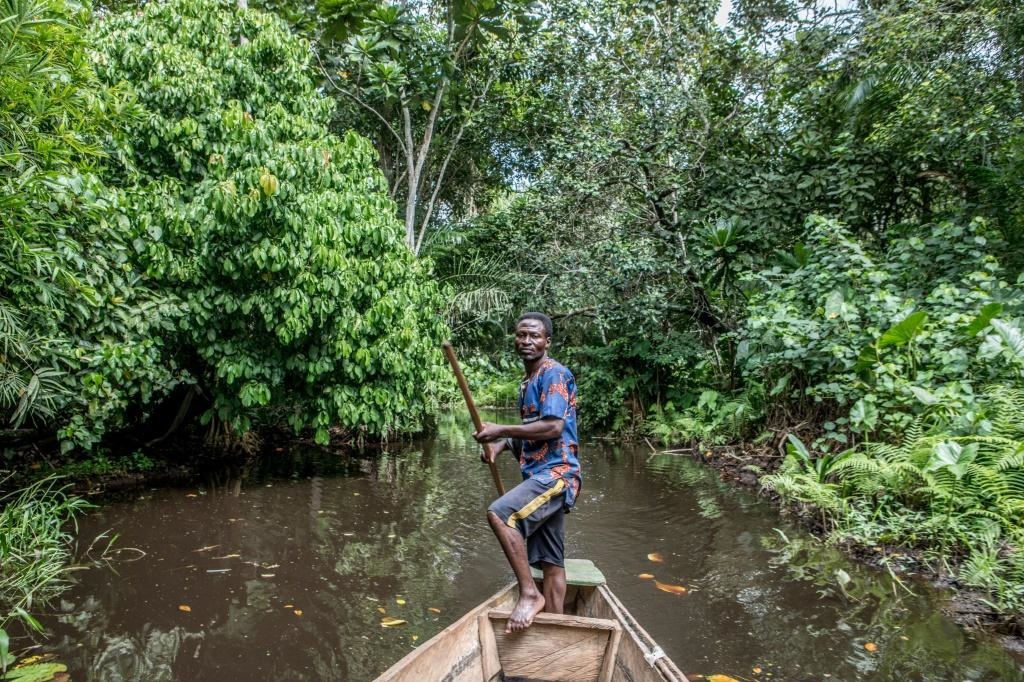 The freshwater swamp forest of Hlanzoun is one of the last of its kind in Benin and is at risk of disappearing.