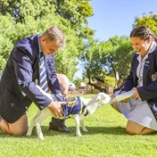 This little lamb is the star learner at a high school in the Kalahari