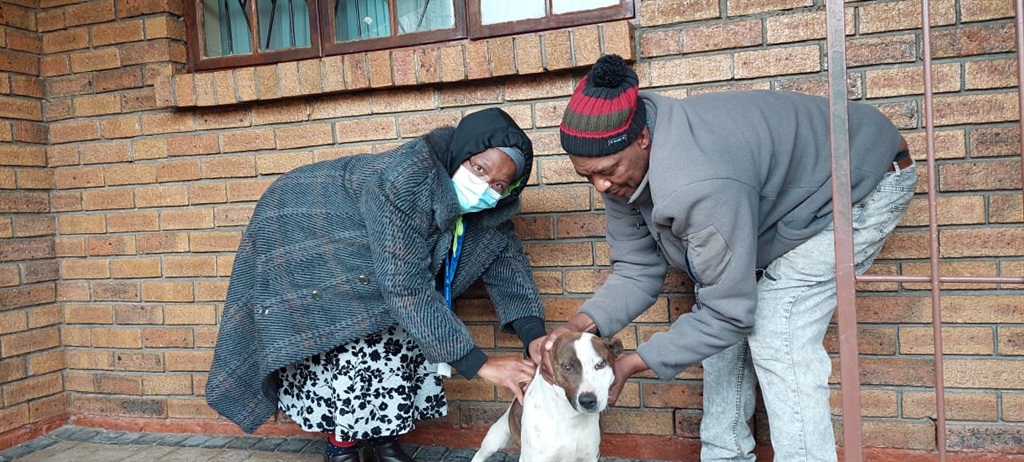 The Western Cape government said it will continue to vaccinate pets in the Khayelitsha area.