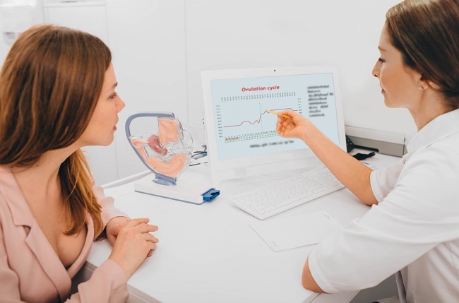 Patient consults with her fertility specialist and looking to the basal temperature on the computer.