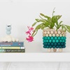 How to make a stylish planter with an ombre finish