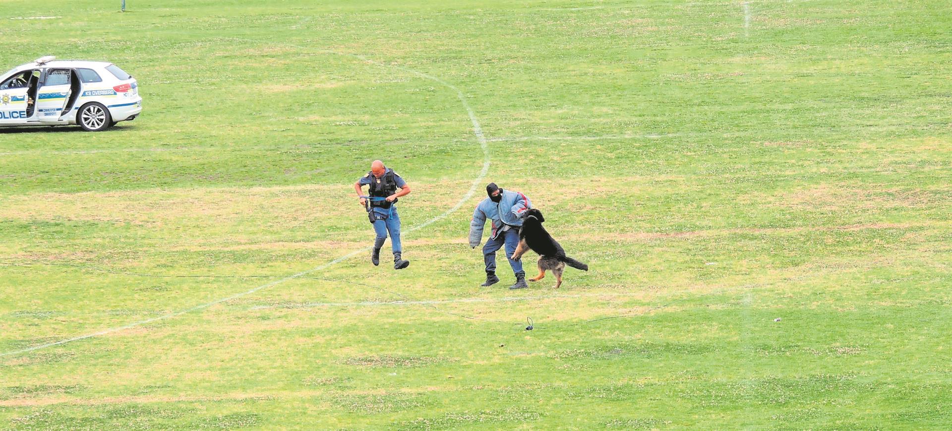 Sgt Eslin Johnson and police dog Bismarck of the Hermanus K9 unit show their skills off in apprehending a “thief” during a display at the Holy Trinity Festival.Photo: Mitzi Buys