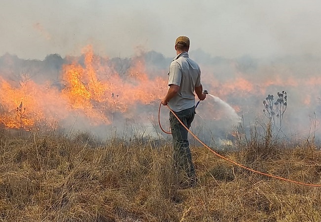 Byna 600 000 ha is in brande in Noordwes verniet. Foto: Verskaf