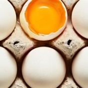 13 foods with more protein than an egg