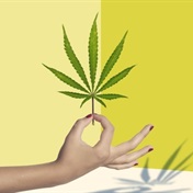 Cannabis can help women live their best lives - Herbalist Vee Nohombile on marijuana benefits