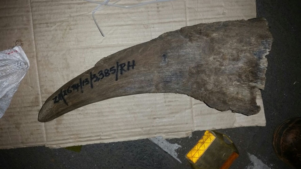 One of the rhino horns seized by the Hawks
