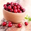 Can cranberry juice cure urinary tract infections?