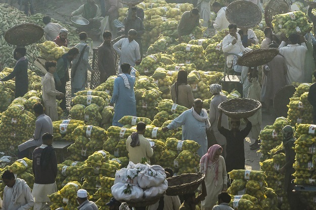 Traders gathered at the fruit market early in the morning