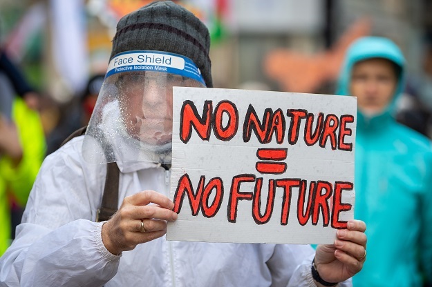 CARDIFF, WALES - NOVEMBER 06: A protestor wearing 