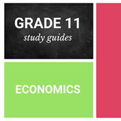 Grade 11 study guides: Economics