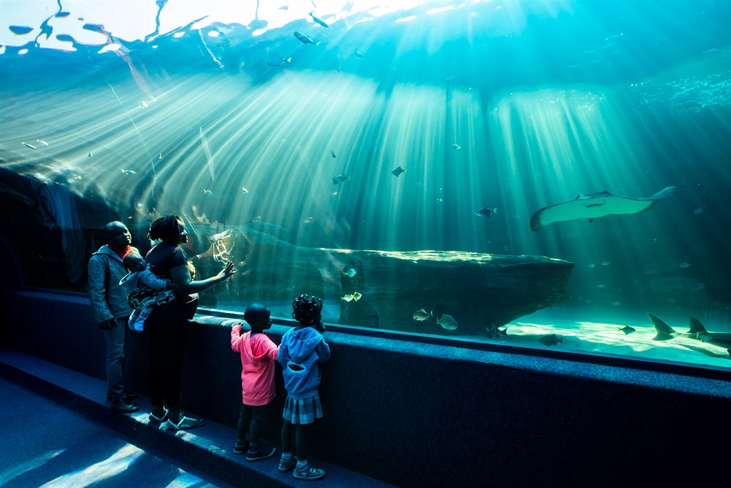 Not only will the kids have a fun time, there is so much to learn when visiting the Aquarium!