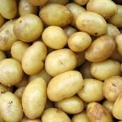 Good news for potato lovers - especially diabetics