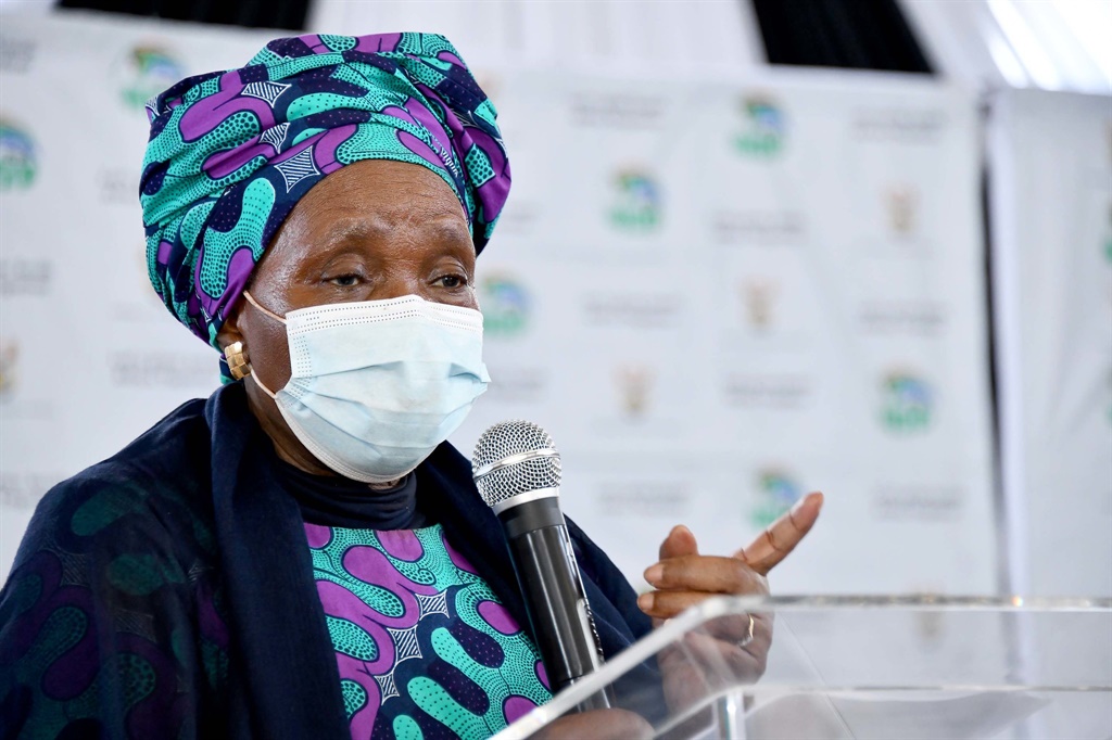 Minister Nkosazana Dlamini-Zuma. Picture: GCIS