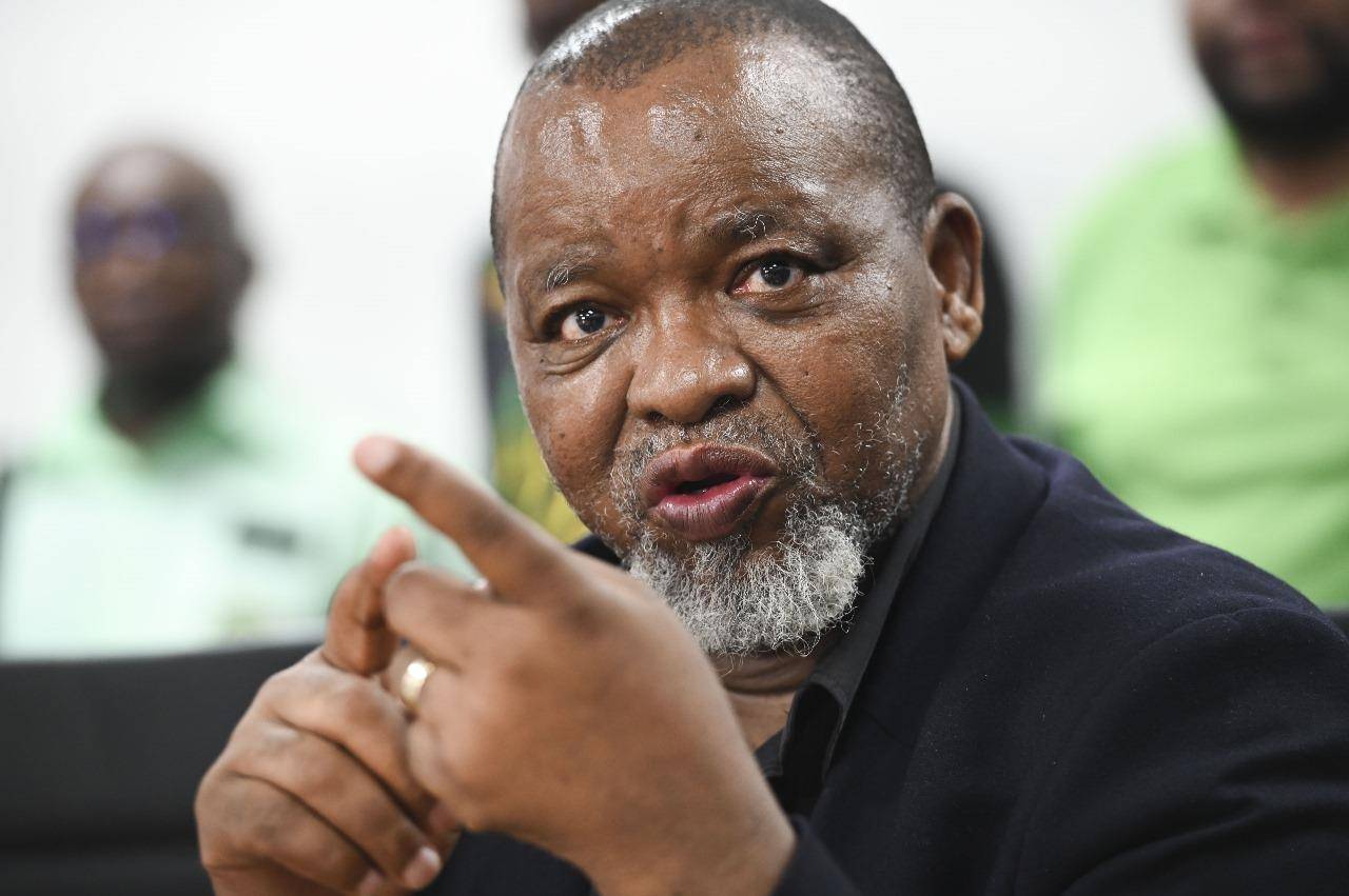 amaBhungane | Fight over state’s oil and gas assets reveals Mantashe’s growing conflict | Business