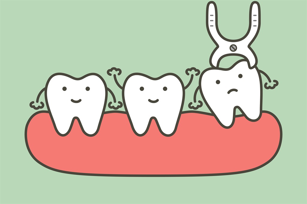 Why do people have wisdom teeth? | Life