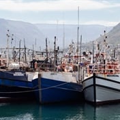 Fishing companies take Creecy to court over quotas