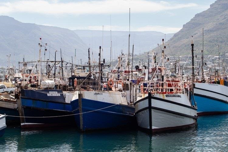 Hout Bay Harbour, Cape Town.