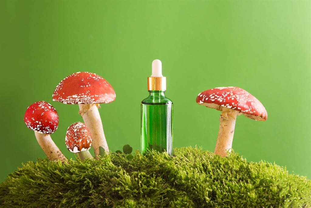 How mushrooms can work their magic on your skin.