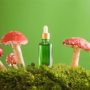 How mushrooms can work its magic on your skin