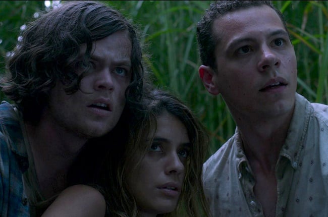 Harrison Gilbertson, Laysla De Oliveira and Avery Whitted in Netflix horror In the Tall Grass.