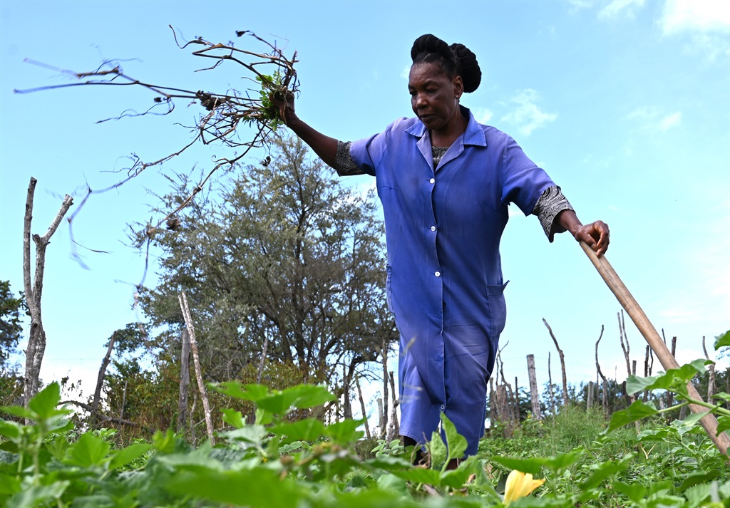 Idah Ndlovu a small holding farmer is hopeful that the building of an Agri-smart City will help her grow her farming business. Photo by Morapedi Mashashe