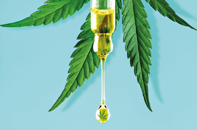 Everything you need to know about CBD oil. Image: Getty Images/Gallo Images 