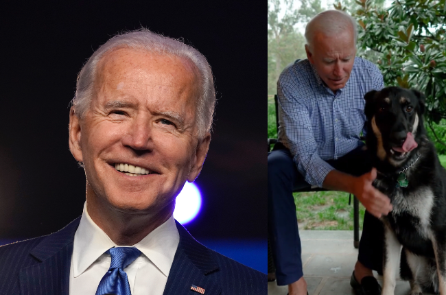 Newly elected president Joe Biden has a close bond with his rescue dog, Major (Photo credits: Gallo Images/Getty Images, Instagram/Joe Biden)