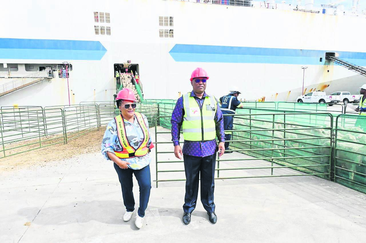 Eastern Cape premier, Oscar Mabuyane, and Rural Development and Agrarian Reform MEC, Nonkqubela Pieters, at the Port of East London to witness the loading of livestock on a ship to Kuwait, on April 3.                                        Photo: SUPPLIED