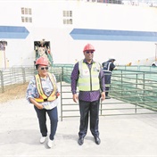 Mabuyane, NSPCA, at loggerheads over livestock shipments to Kuwait