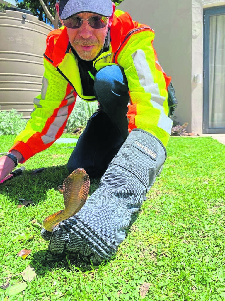 News24 | 'It has been the busiest snake season in recent years'