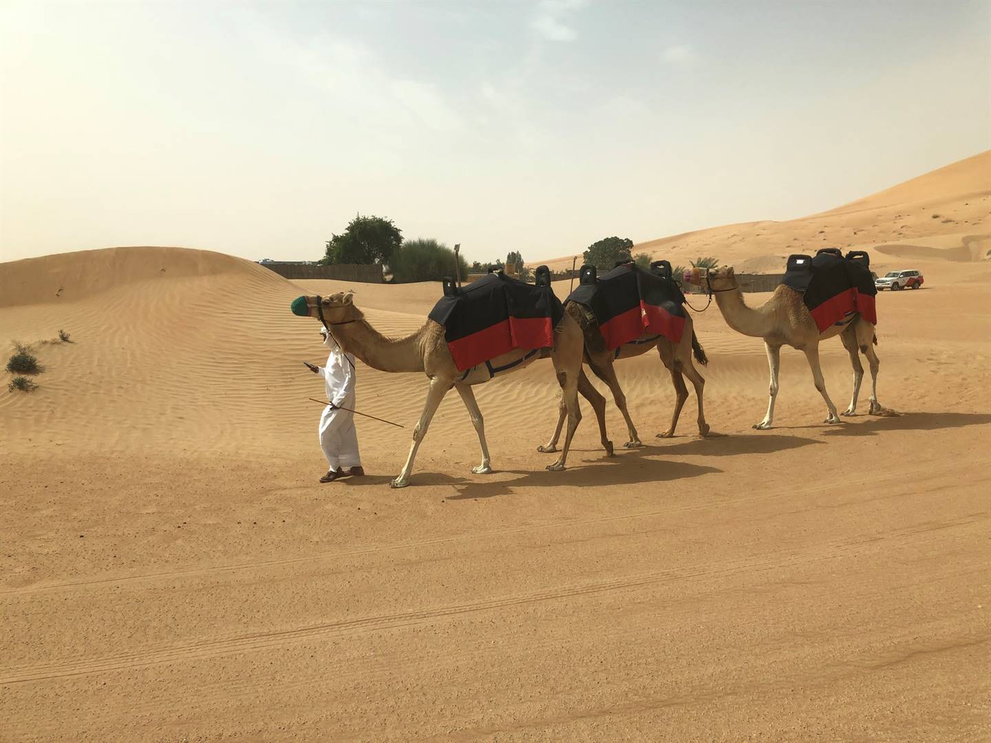 The desert scene had me feeling as if I was with Aladdin and Jasmine. Pictures: Phumlani S Langa