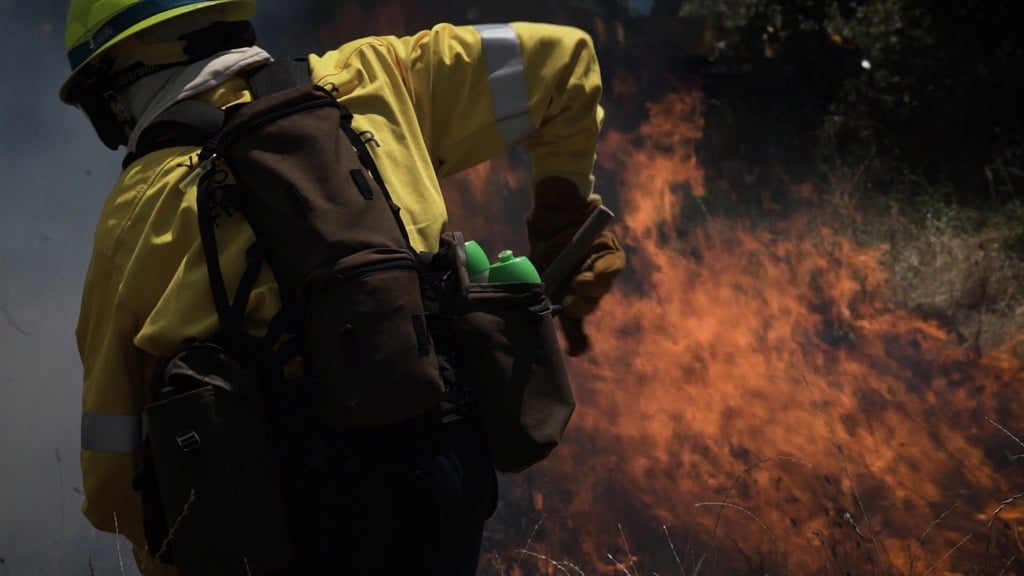 Member of the Volunteer Wildfire Services (VWS) battles flames (Luke Daniel/News24)
