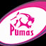 Airlink Pumas