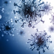 Coronavirus immunity: Promising news from latest research