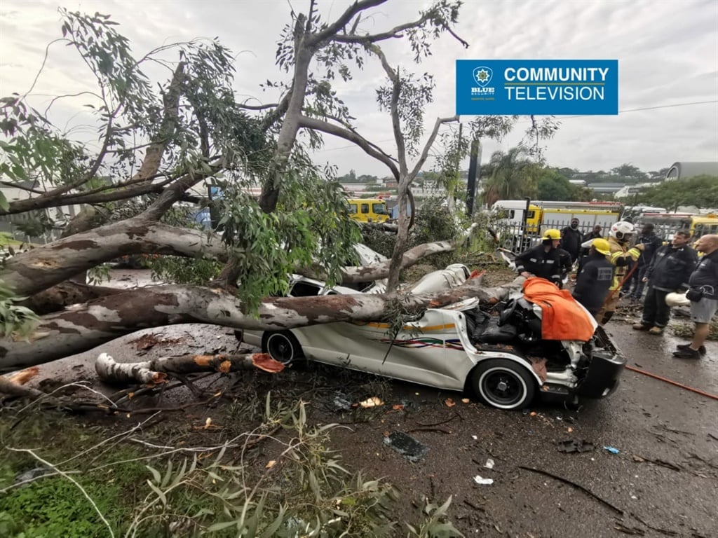 A tree fell on a taxi in Durban