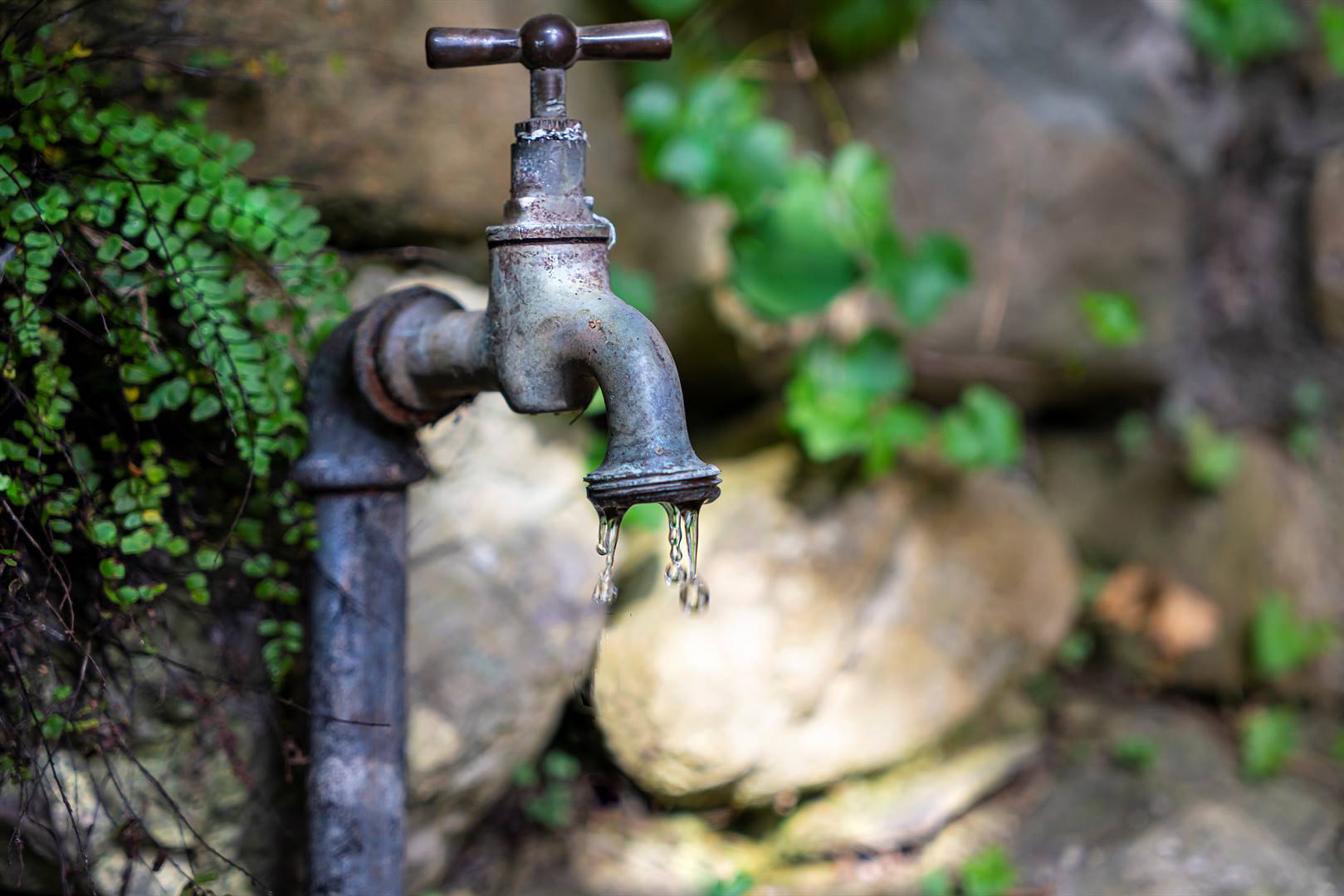 How innovation, industrialisation and collaboration can solve SA’s clean water challenge - News24