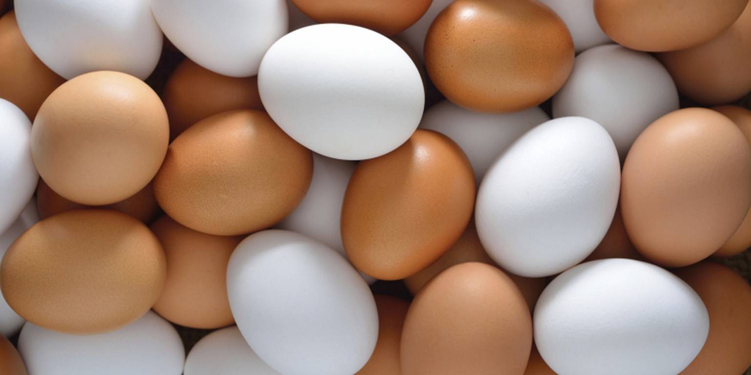 Verbruikers het tydens die Covid-19-inperking baie meer eiers as gewoonlik gekoop, wat eierpryse vir produsente soos Quantum Foods effens opgedruk het. Eierpryse was egter 2,4% laer as die vorige jaar, volgens Quantum se resultate vir die boekjaar tot einde September.