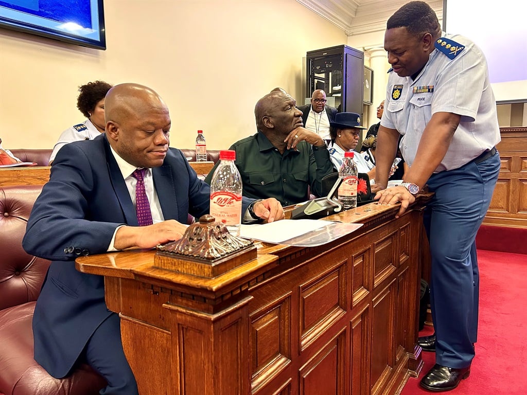 Public Works Minister Sihle Zikalala next to Police Minister Bheki Cele briefed members of Parliament’s Portfolio Committee on Police on Wednesday on the Telkom Towers debacle. (Matthew Hirsch / GroundUp)