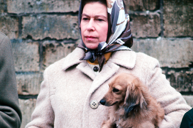 Her Majesty with one of her favourite dogs at the Badminton Horse Trials in 1976. (Photo: Gallo Images/Getty Images)